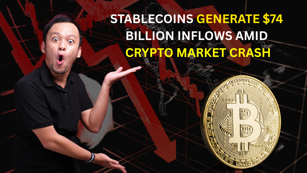 Stablecoins Generate $74 Billion Inflows Amid Crypto Market Crash